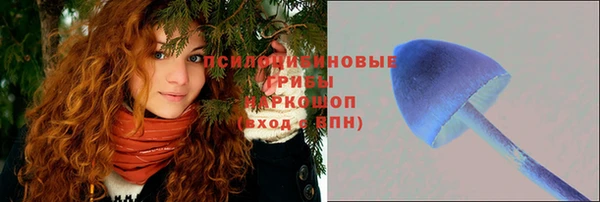 эйфоретик Беломорск