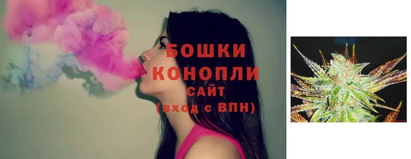 молекула духа Белокуриха