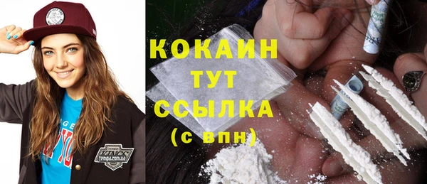 молекула духа Белокуриха
