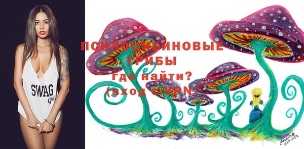 эйфоретик Беломорск