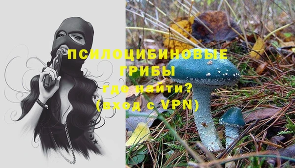 эйфоретик Беломорск