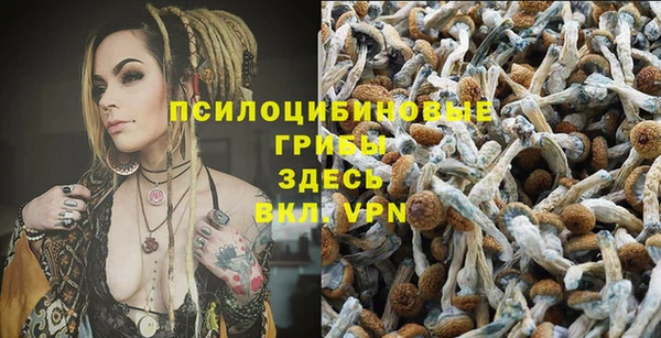 молекула духа Белокуриха