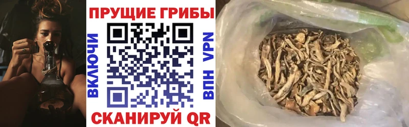 Псилоцибиновые грибы мухоморы  Купить где  Кизилюрт 